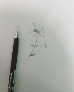СľȻָ