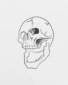 ָ