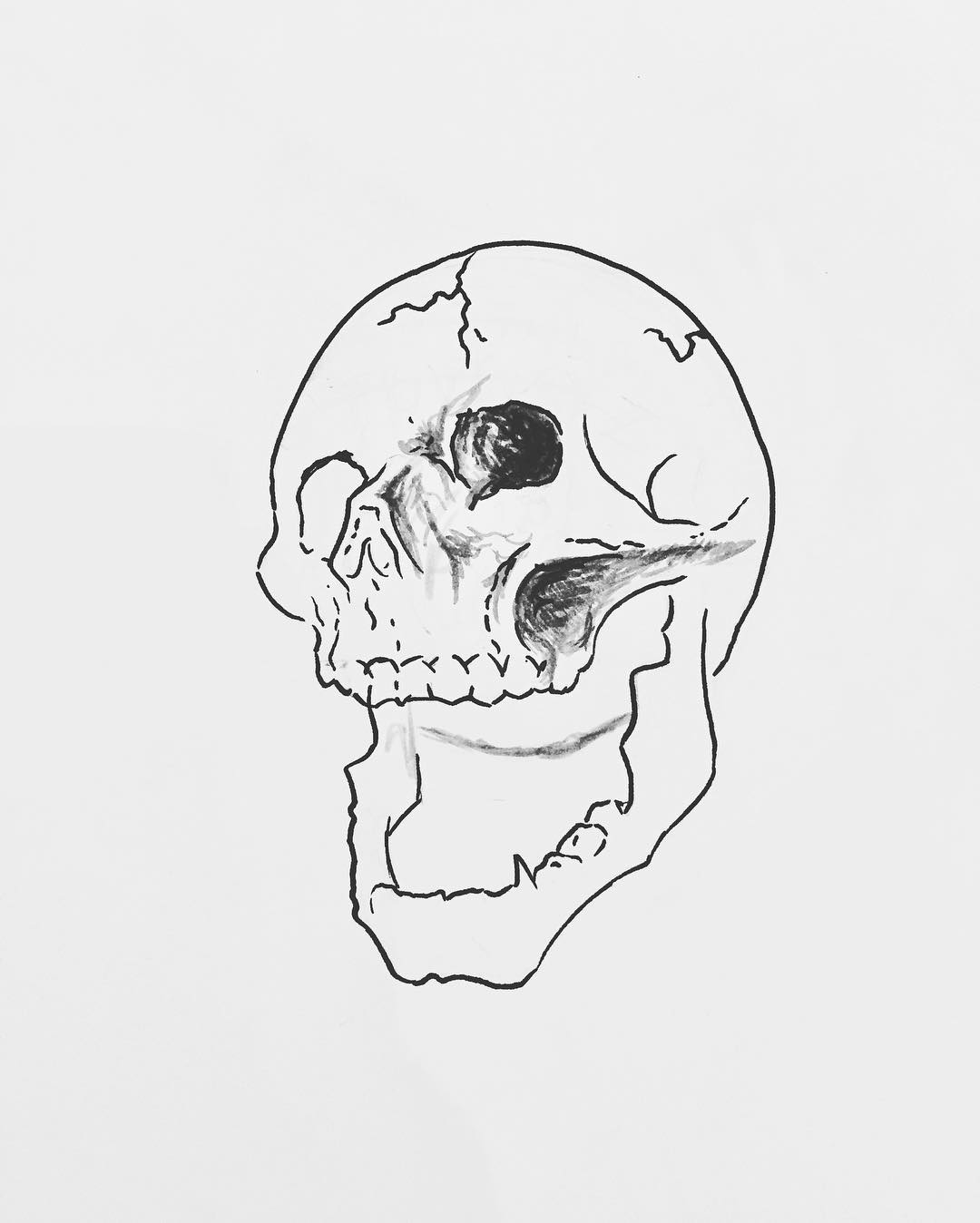 ָ