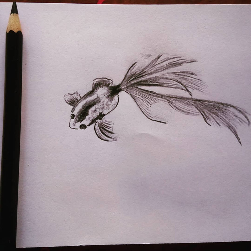 ָ